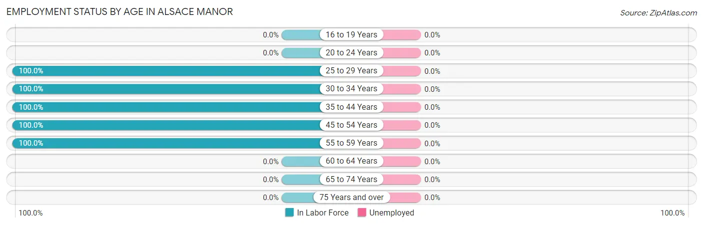 Employment Status by Age in Alsace Manor