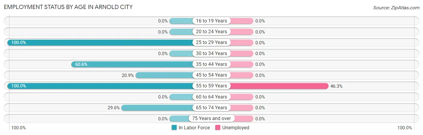 Employment Status by Age in Arnold City