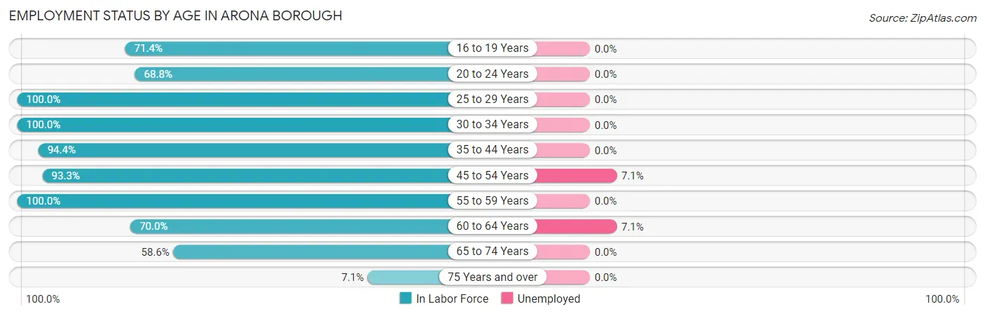 Employment Status by Age in Arona borough