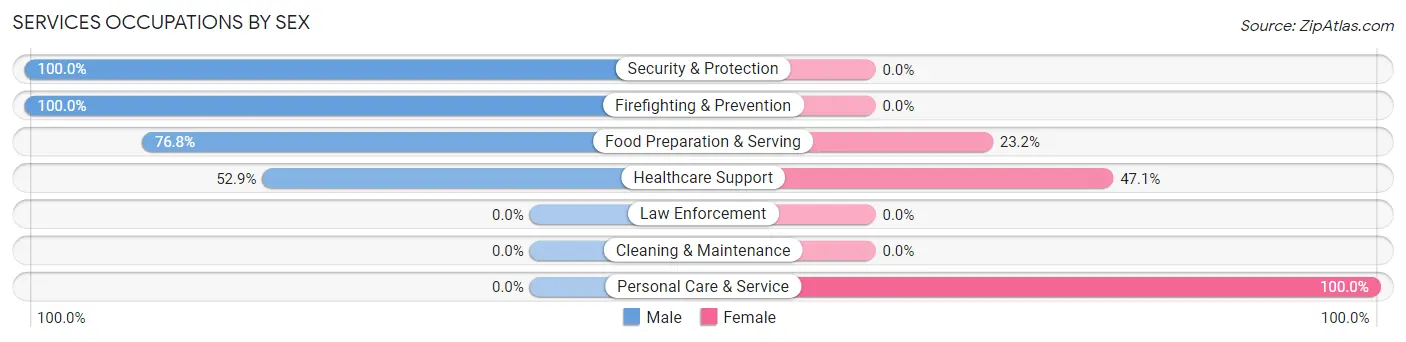 Services Occupations by Sex in Athens borough
