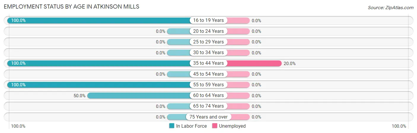 Employment Status by Age in Atkinson Mills