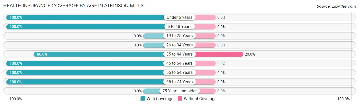 Health Insurance Coverage by Age in Atkinson Mills