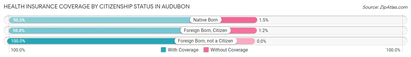 Health Insurance Coverage by Citizenship Status in Audubon