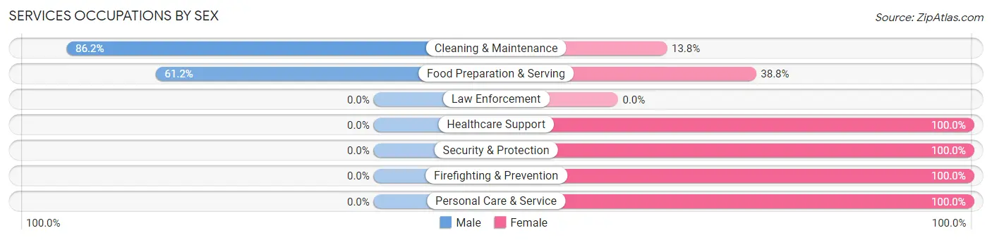 Services Occupations by Sex in Audubon