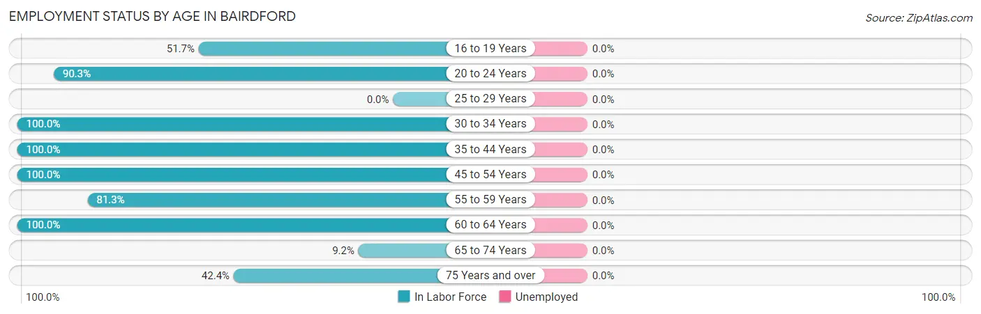 Employment Status by Age in Bairdford