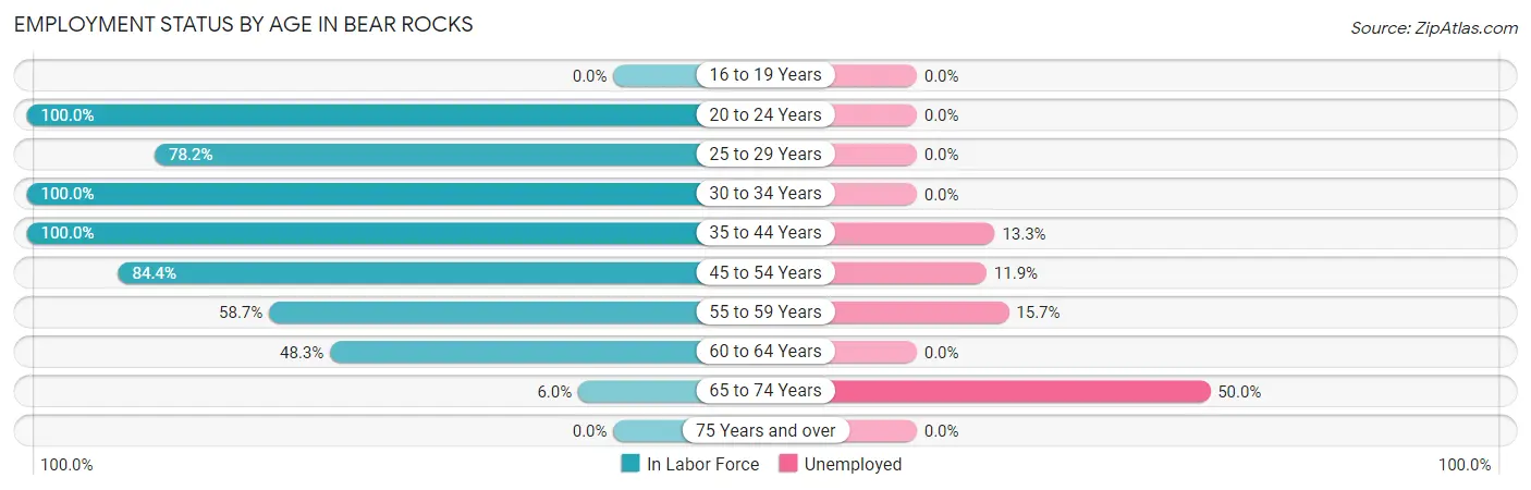 Employment Status by Age in Bear Rocks