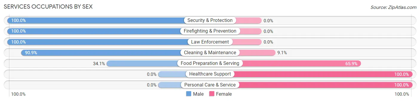 Services Occupations by Sex in Beaver borough