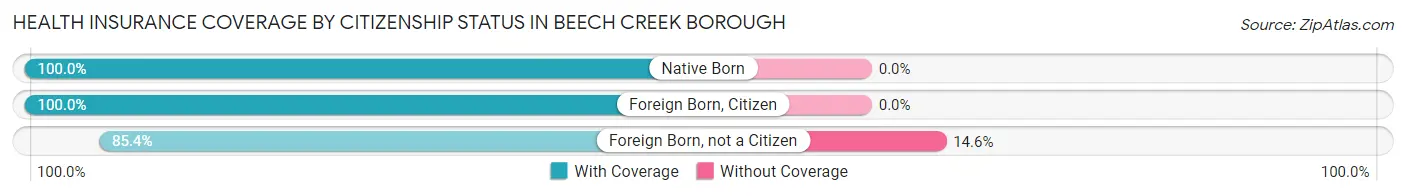 Health Insurance Coverage by Citizenship Status in Beech Creek borough
