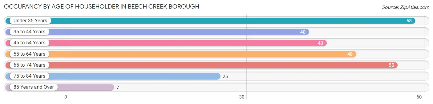Occupancy by Age of Householder in Beech Creek borough