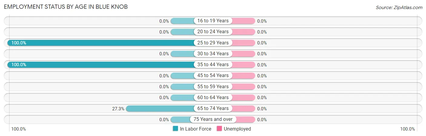Employment Status by Age in Blue Knob