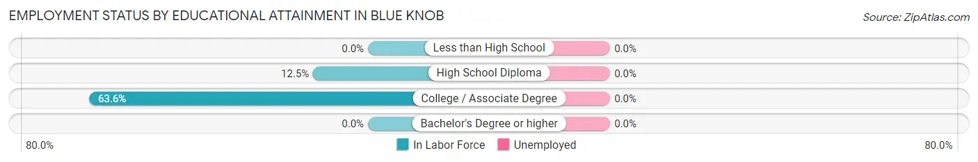 Employment Status by Educational Attainment in Blue Knob
