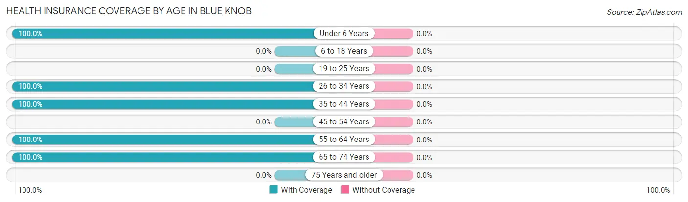 Health Insurance Coverage by Age in Blue Knob