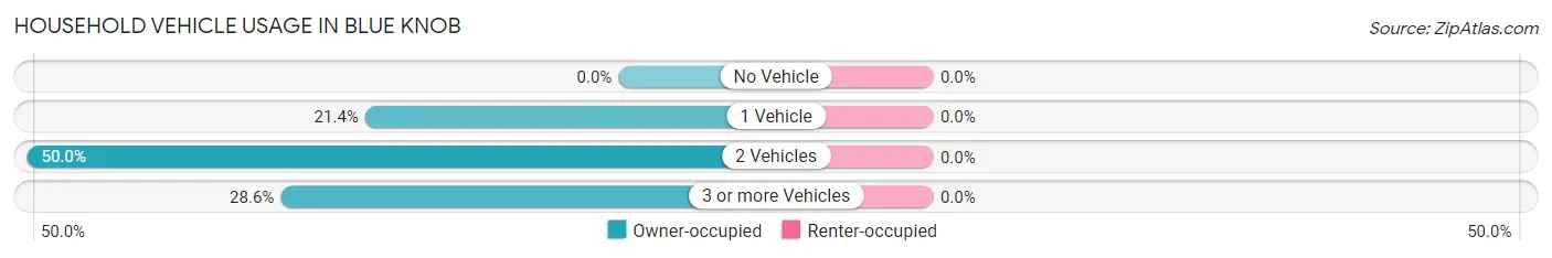 Household Vehicle Usage in Blue Knob