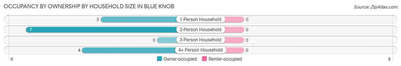 Occupancy by Ownership by Household Size in Blue Knob