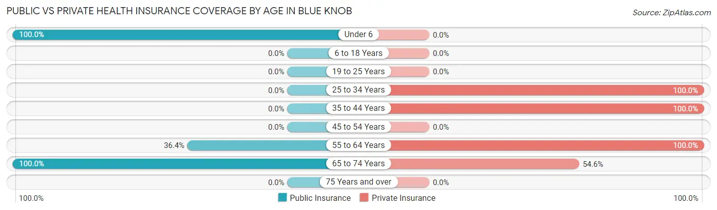 Public vs Private Health Insurance Coverage by Age in Blue Knob