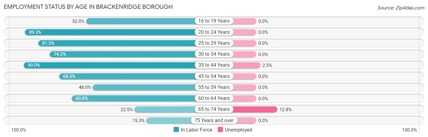 Employment Status by Age in Brackenridge borough