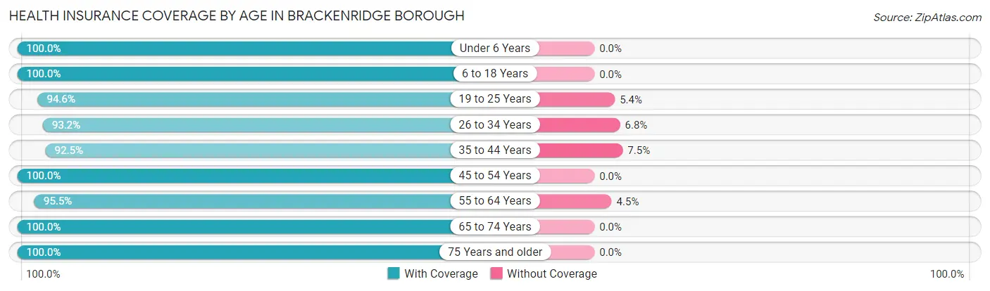 Health Insurance Coverage by Age in Brackenridge borough