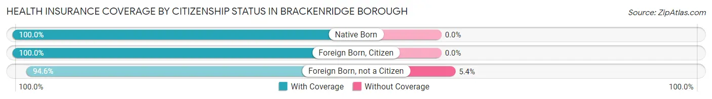 Health Insurance Coverage by Citizenship Status in Brackenridge borough