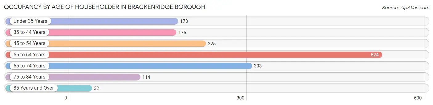Occupancy by Age of Householder in Brackenridge borough