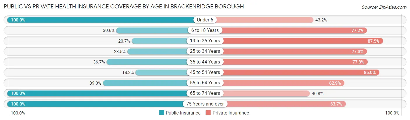 Public vs Private Health Insurance Coverage by Age in Brackenridge borough