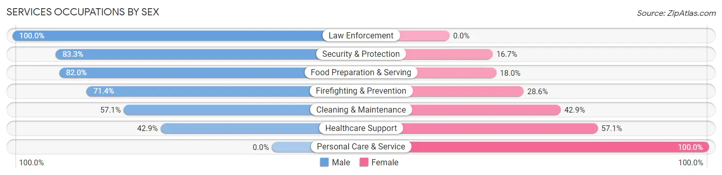 Services Occupations by Sex in Brackenridge borough