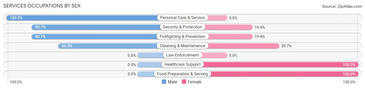Services Occupations by Sex in Braddock borough