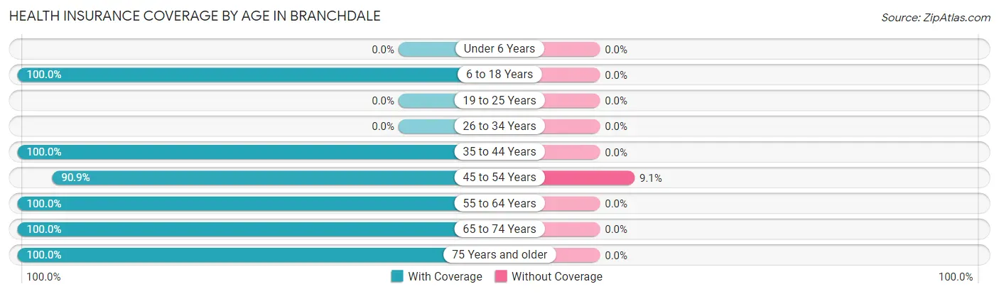 Health Insurance Coverage by Age in Branchdale