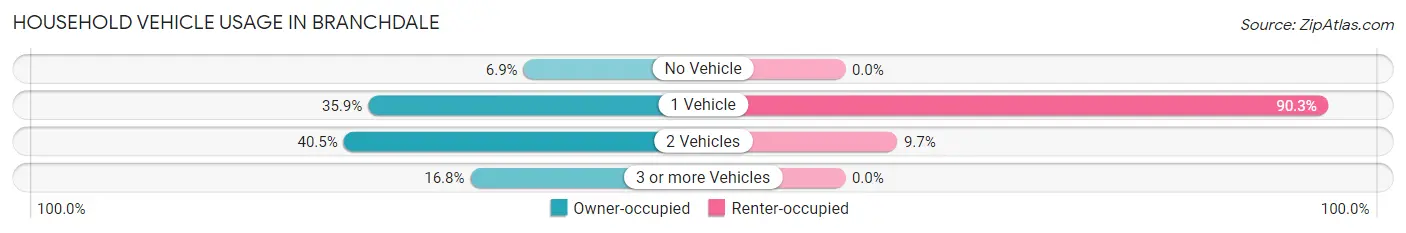 Household Vehicle Usage in Branchdale
