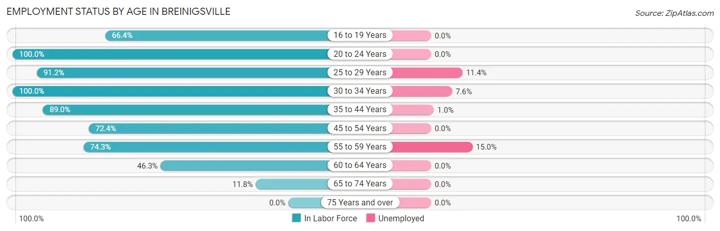 Employment Status by Age in Breinigsville