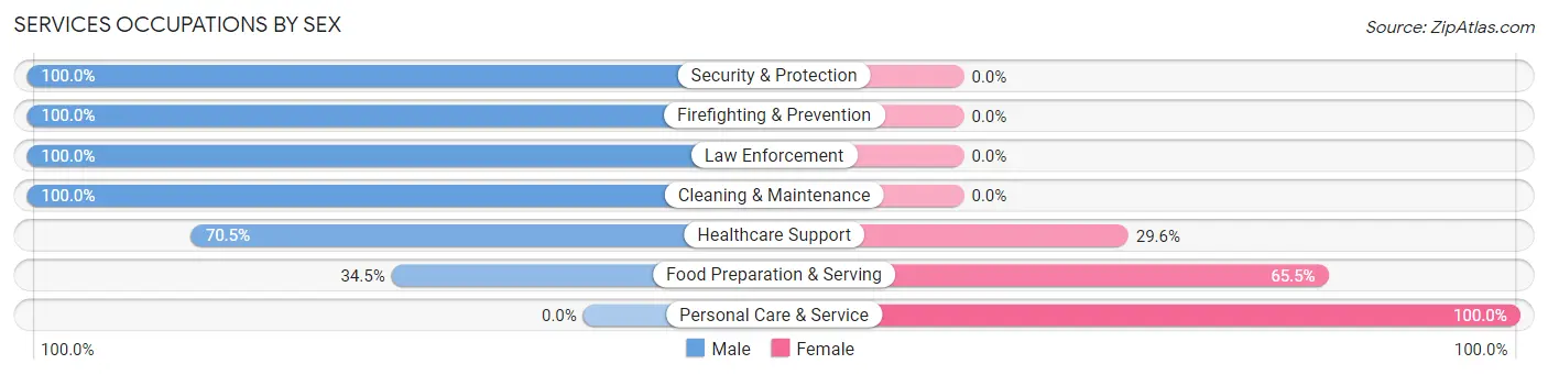Services Occupations by Sex in Bridgeport borough