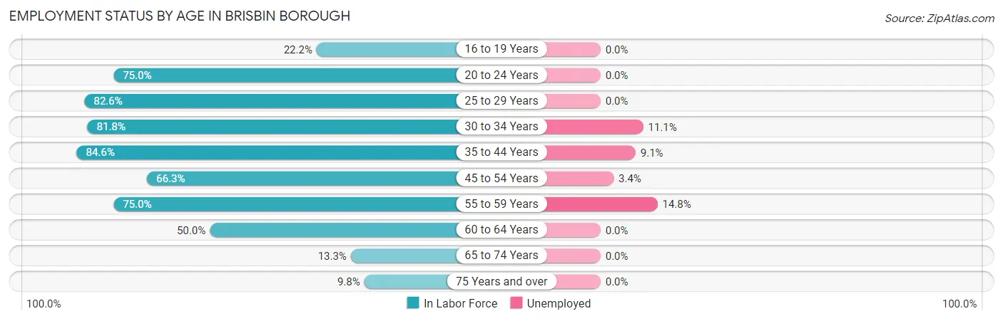 Employment Status by Age in Brisbin borough