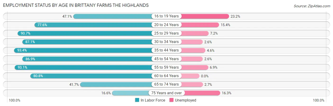 Employment Status by Age in Brittany Farms The Highlands
