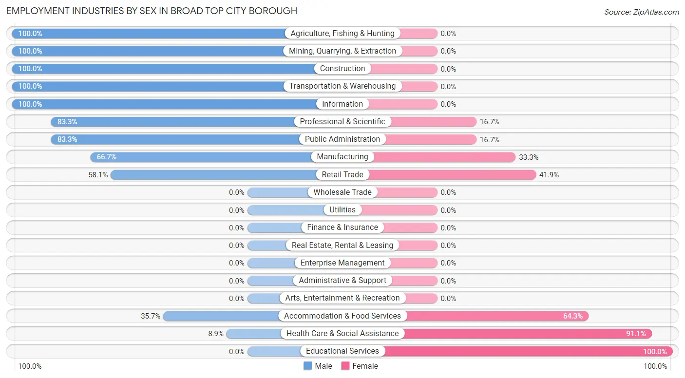 Employment Industries by Sex in Broad Top City borough