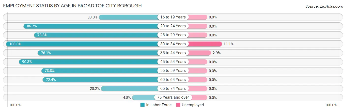 Employment Status by Age in Broad Top City borough