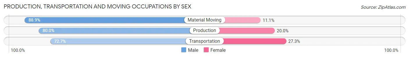 Production, Transportation and Moving Occupations by Sex in Broad Top City borough
