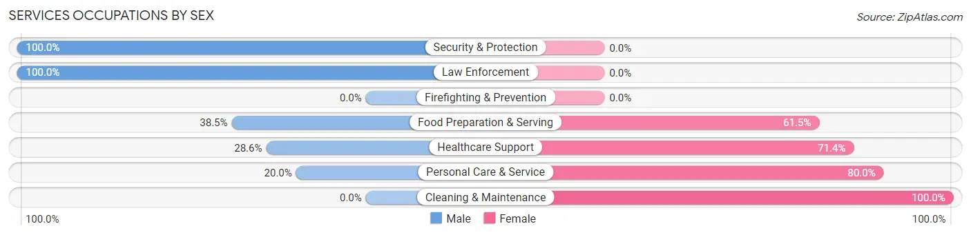 Services Occupations by Sex in Broad Top City borough