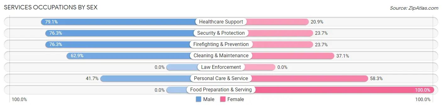 Services Occupations by Sex in Browntown