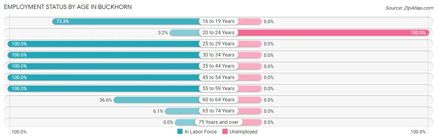 Employment Status by Age in Buckhorn