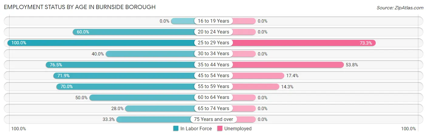 Employment Status by Age in Burnside borough