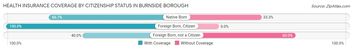 Health Insurance Coverage by Citizenship Status in Burnside borough
