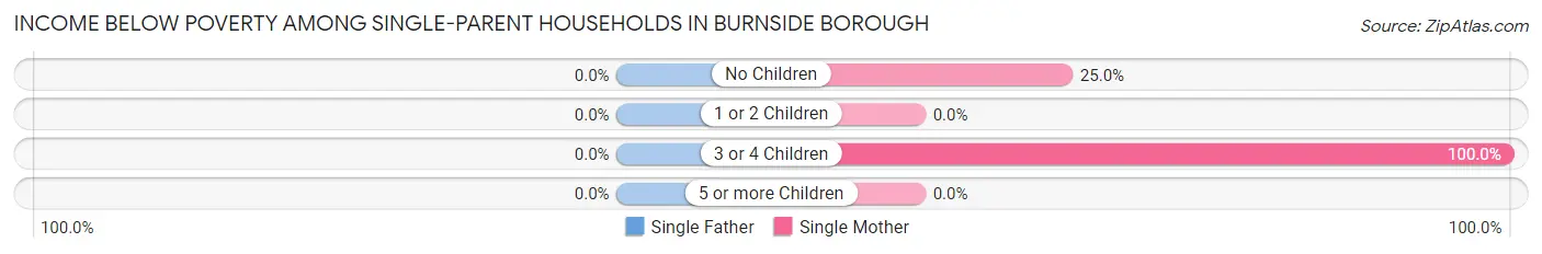Income Below Poverty Among Single-Parent Households in Burnside borough