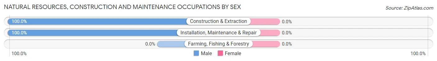 Natural Resources, Construction and Maintenance Occupations by Sex in Burnside borough