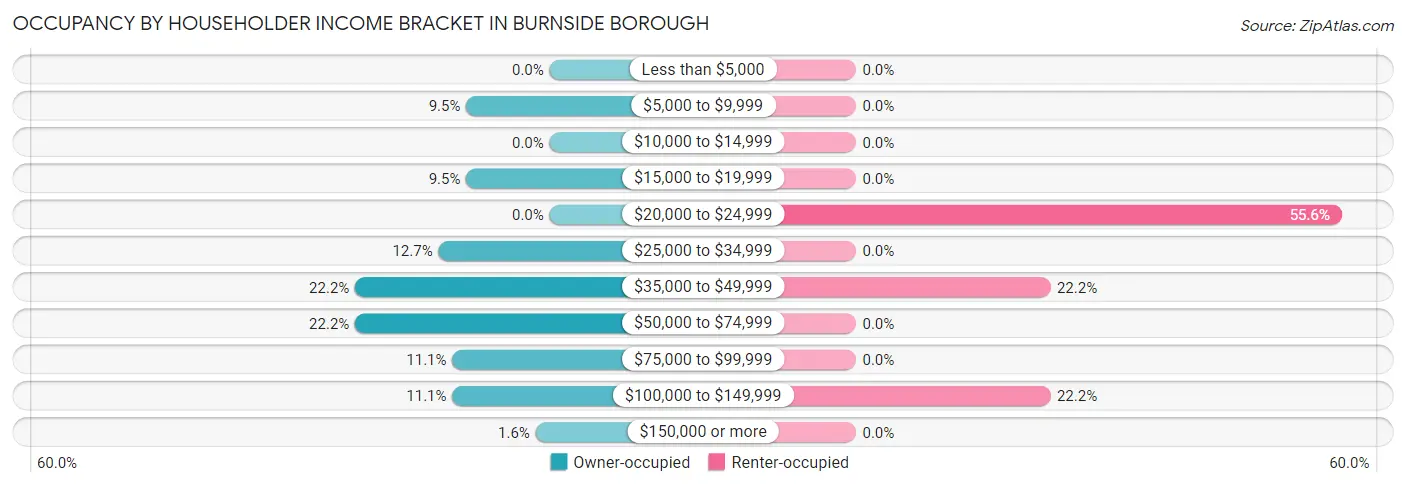 Occupancy by Householder Income Bracket in Burnside borough