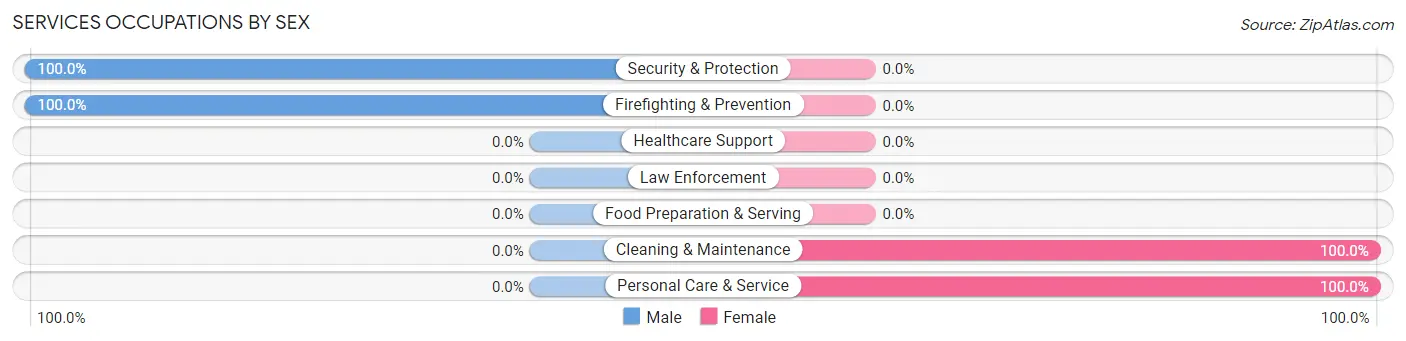 Services Occupations by Sex in Burnside borough