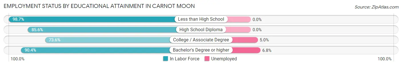 Employment Status by Educational Attainment in Carnot Moon