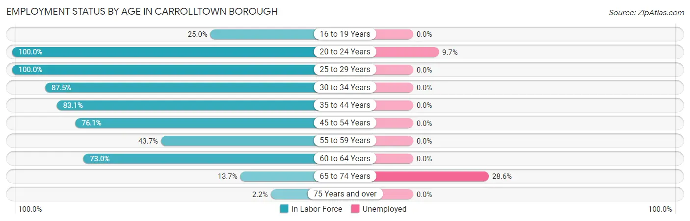 Employment Status by Age in Carrolltown borough