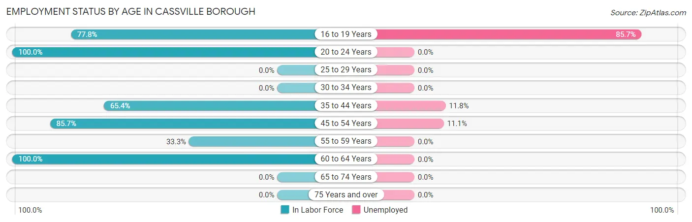 Employment Status by Age in Cassville borough