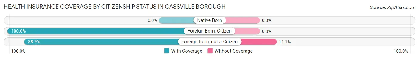 Health Insurance Coverage by Citizenship Status in Cassville borough