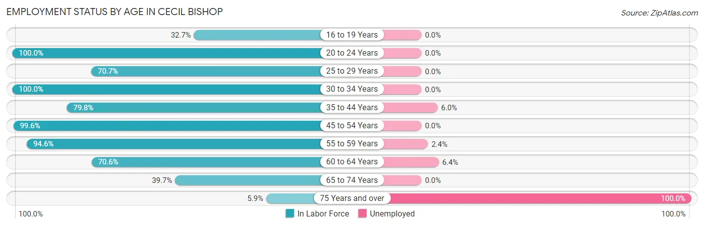 Employment Status by Age in Cecil Bishop