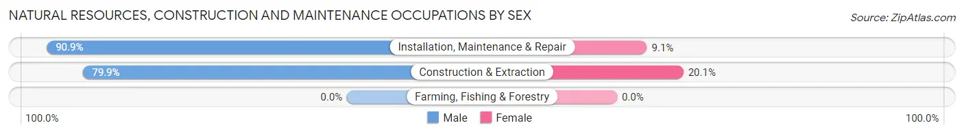 Natural Resources, Construction and Maintenance Occupations by Sex in Cecil Bishop